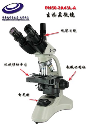 凤凰PH50-3A43L-A生物显微镜 可扩展的多功能光学成像平台