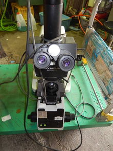 日本显微镜代购全攻略 价格、二手市场与购买渠道解析